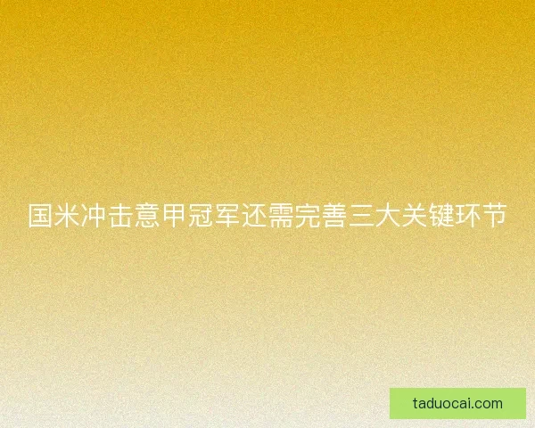 国米冲击意甲冠军还需完善三大关键环节